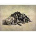 thumbnail image 2 of Butler, John 24x19 White Modern Wood Framed Museum Art Print Titled - Big Cats IV, 2 of 4