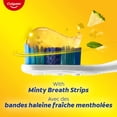thumbnail image 3 of Colgate MaxFresh Fluoride Toothpaste, Pineapple Coconut Crush with Mint 130ml, 3 of 7
