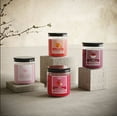 thumbnail image 2 of Candle-Lite Sunlit Mandarin Berry Scented Candles Set, Aromatherapy, 2 Pack 6.5 oz Single-Wick Jar, 40 Hours of Burn Time, Perfect for Gifting and Celebration (Individual Box), 2 of 3