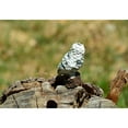 thumbnail image 3 of de Resina Adorno de Hadas Bonsai Miniatura Herramienta Césped Motosierras Decorativa Blanco un, 3 of 8