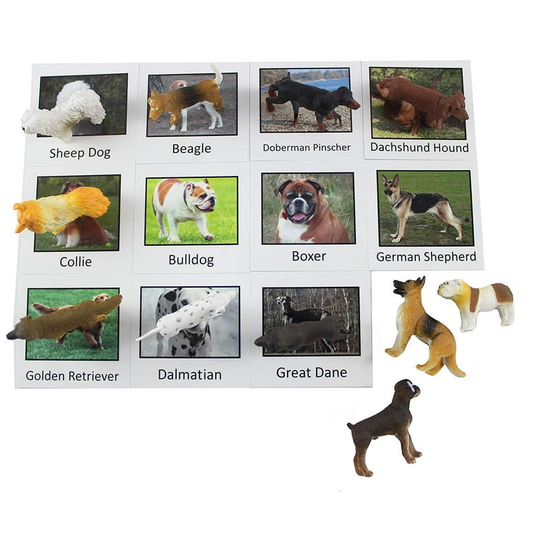 Montessori Dog Animal Match - Miniature Dogs Animal Toy Figurines with  Matching Cards - 2 Part Cards. Montessori learning toy, language materials  Busy