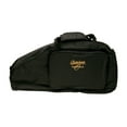 thumbnail image 2 of Oscar Schmidt AC445 Autoharp Gig Bag, 2 of 5
