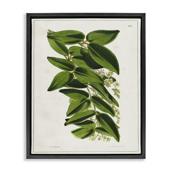 Stupell Industries Stacked Leaves Botanical Plants & Flowers Painting Black Floater Framed Canvas Art Print Wall Art, 17 x 21