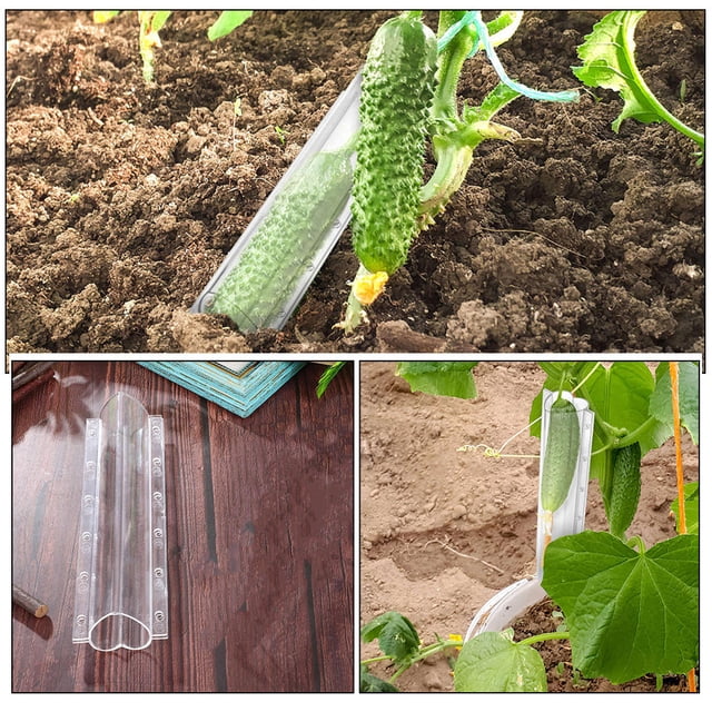 Raindrops Durable Clear Vegetable Grow Mold for Shaping Cucumbers in Garden Practical and Easy to Use