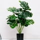 thumbnail image 3 of Plantas Simuladas Inteprter Verde Textura Clara Decoración de Partición 12 50 Carey, 3 of 6