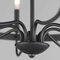 thumbnail image 5 of 14498BK Maxim Lighting Frankie - 8 Light Chandelier-22.25 Inches Tall and 29 Inches Wide-Black Finish, 5 of 5