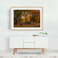 thumbnail image 6 of Autumn in Central Park, New York - Manhattan New York Photography Autumn Cityscape Nature Scenic Landscape Woodland Unframed Wall Art Print 20 x 30 inches, 6 of 7