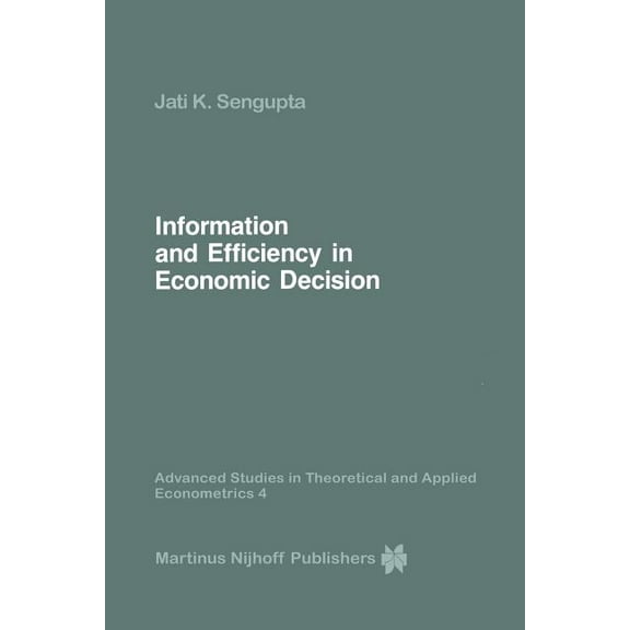 Advanced Studies in Theoretical and Appl Information and Efficiency in Economic Decision, Book 4, (Paperback)