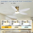 thumbnail image 4 of PHORUS 36" Gold Low Profile Ceiling Fan with LED Light and Remote/APP Control, DC Reversible Motor, Dimmable,Quiet,Modern Flush Mount Ceiling Fan for Bedroom,Living Room,Patio,Indoor,Outdoor Use, 4 of 7