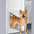 thumbnail image 1 of Puerta abatible para mascotas Fernando con montaje de bloqueo de émbolo 38,6x52x5cm, 1 of 8