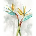 thumbnail image 3 of Robinson, Carol 20x24 Black Modern Framed Museum Art Print Titled - Bird of Paradise I, 3 of 5