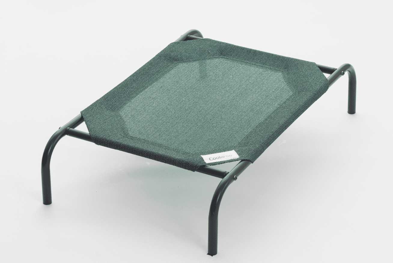 The Original Coolaroo Elevated Pet Dog Bed for Indoors & Outdoors, XL, Green