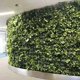 thumbnail image 4 of Bolsas de cultivo vertical ecológicas de fieltro - 25 bolsillos 1x1 metros - Ideal para jardines verticales y decoración de interiores, 4 of 6