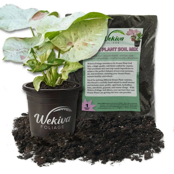 Syngonium Milk Confetti and Soil Mix Combo - Live Plant in a 4 Inch Pot with 1 Quart Houseplant Soil Mix - Syngonium Podophyllum 'Milk Confetti' with Custom Soil Blend