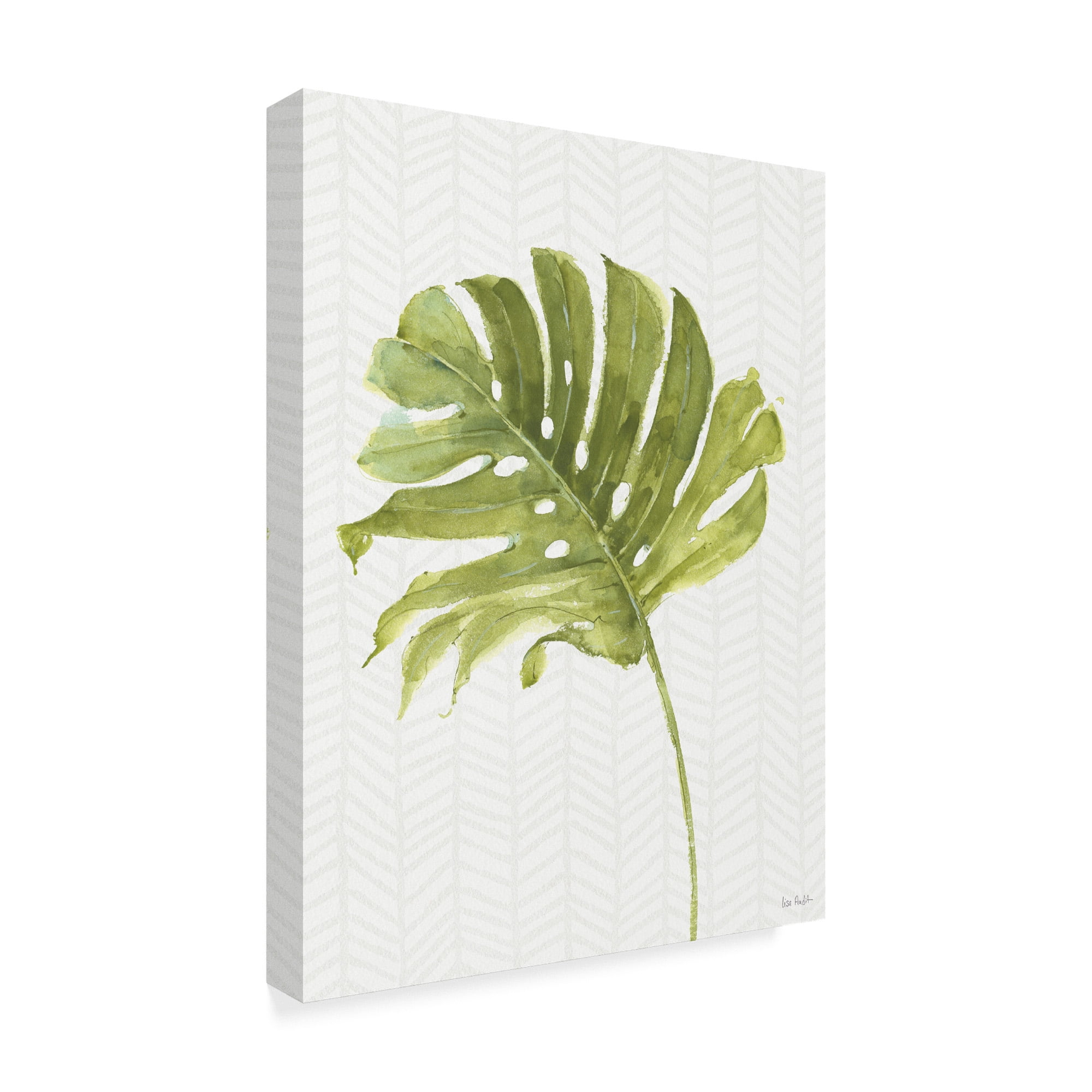 Trademark Fine Art 'Mixed Greens LXXVII' Canvas Art by Lisa Audit