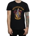 thumbnail image 2 of Harry Potter Mens Gryffindor Cotton T-Shirt, 2 of 5