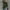 Green, variant on Sweaters for Women Tassel Hem Sweater Long Cardigan Knitwear Pullover Poncho Coat Winter Fall Clothes 2023 Black