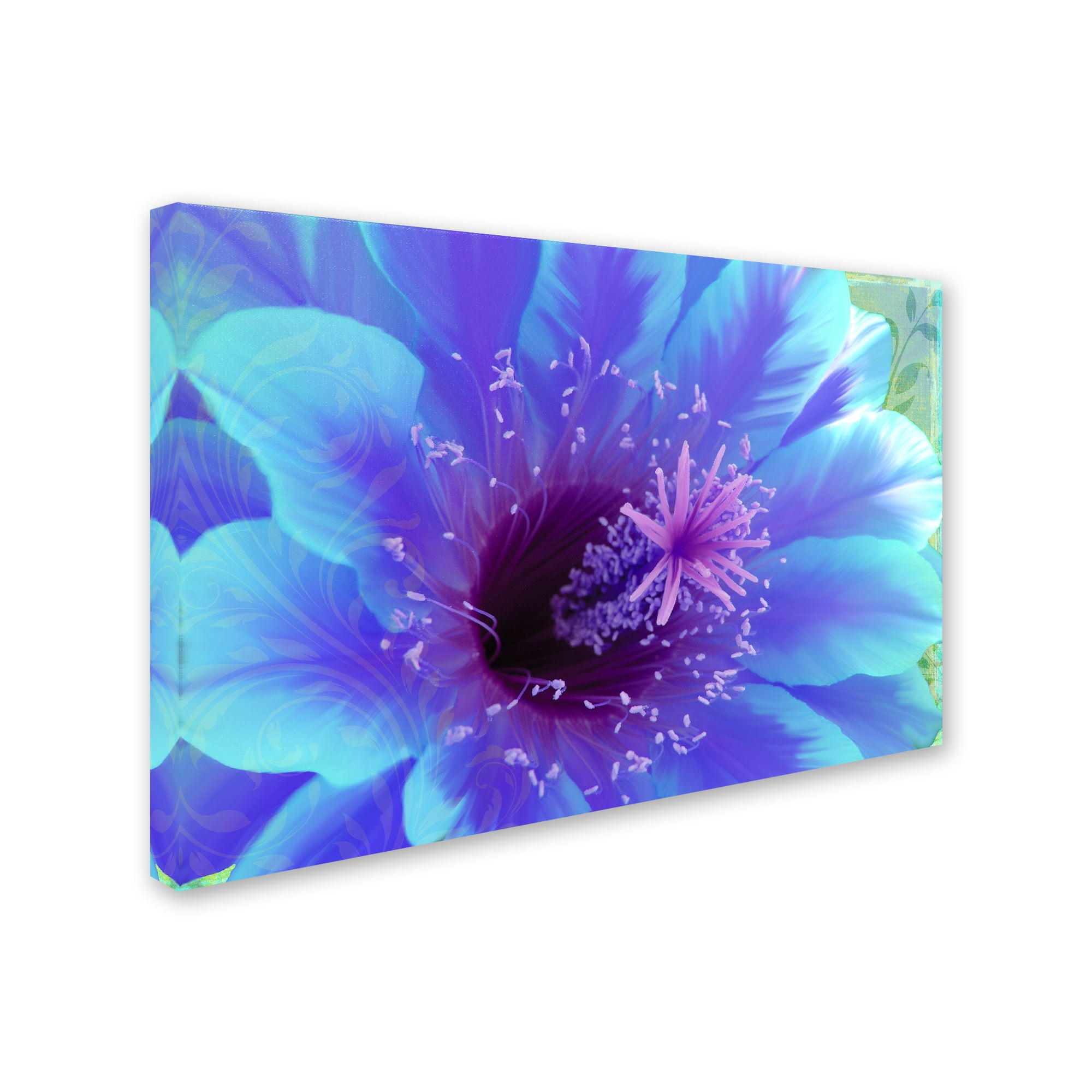 Trademark Fine Art 'Paradisum' Canvas Art by Tina Lavoie
