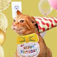 thumbnail image 4 of Bearachild Suministros de fiesta de cumpleaños para perros y gatos, larga vida útil, regalos únicos para mascotas, celebración, cumpleaños de Kits de decoración para fiestas Amarillo 6 pulgadas, 4 of 6