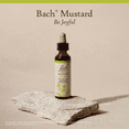 thumbnail image 5 of Bach Original Flower Remedies, Mustard - 20 mL Dropper, 5 of 6