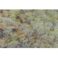 thumbnail image 2 of Jones, Adam 14x11 White Modern Wood Framed Museum Art Print Titled - Hillside of palo Santo trees San Cristobal Island-Galapagos Islands-Ecuador, 2 of 4
