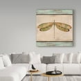 thumbnail image 3 of Trademark Fine Art 'Dragonfly Tapestry' Canvas Art by Jean Plout, 3 of 3