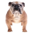 thumbnail image 1 of Perros realistas//animales marinos modelos estatuilla juguetes coleccionables regalo Zulema Juguete de la figura animal, 1 of 8