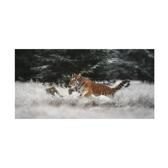 Trademark Fine Art Michaela Firesova Joy On The Snow Canvas Wall Art