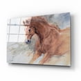 thumbnail image 2 of Epic Art 'Equine Exercise' by Robert Campbell, Acrylic Glass Wall Art, 16"x12", 2 of 8