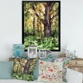 thumbnail image 3 of Designart 'Autumn Forest With A Large Tree' Lake House Framed Art Print, 3 of 4
