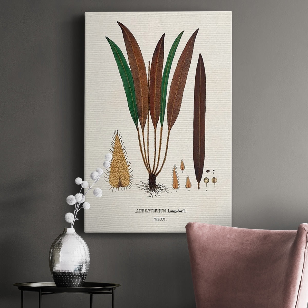 Botanical Society Ferns I Premium Gallery Wrapped Canvas - Ready to Hang