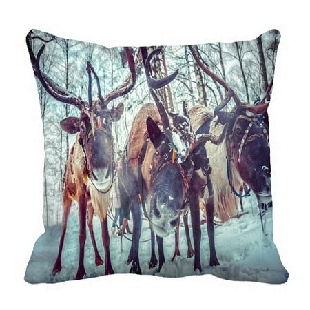 Reindeer Cushion PHFZK Winter Pattern Christmas Reindeer Deers Pillowcase Throw Pillow Cushion Cover Two Sides Size 18x18 inches ()