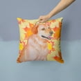 thumbnail image 2 of Carolines Treasures BB9975PW1414 Labrador Retriever Fall Fabric Decorative Pillow  14Hx14W multicolor, 2 of 4