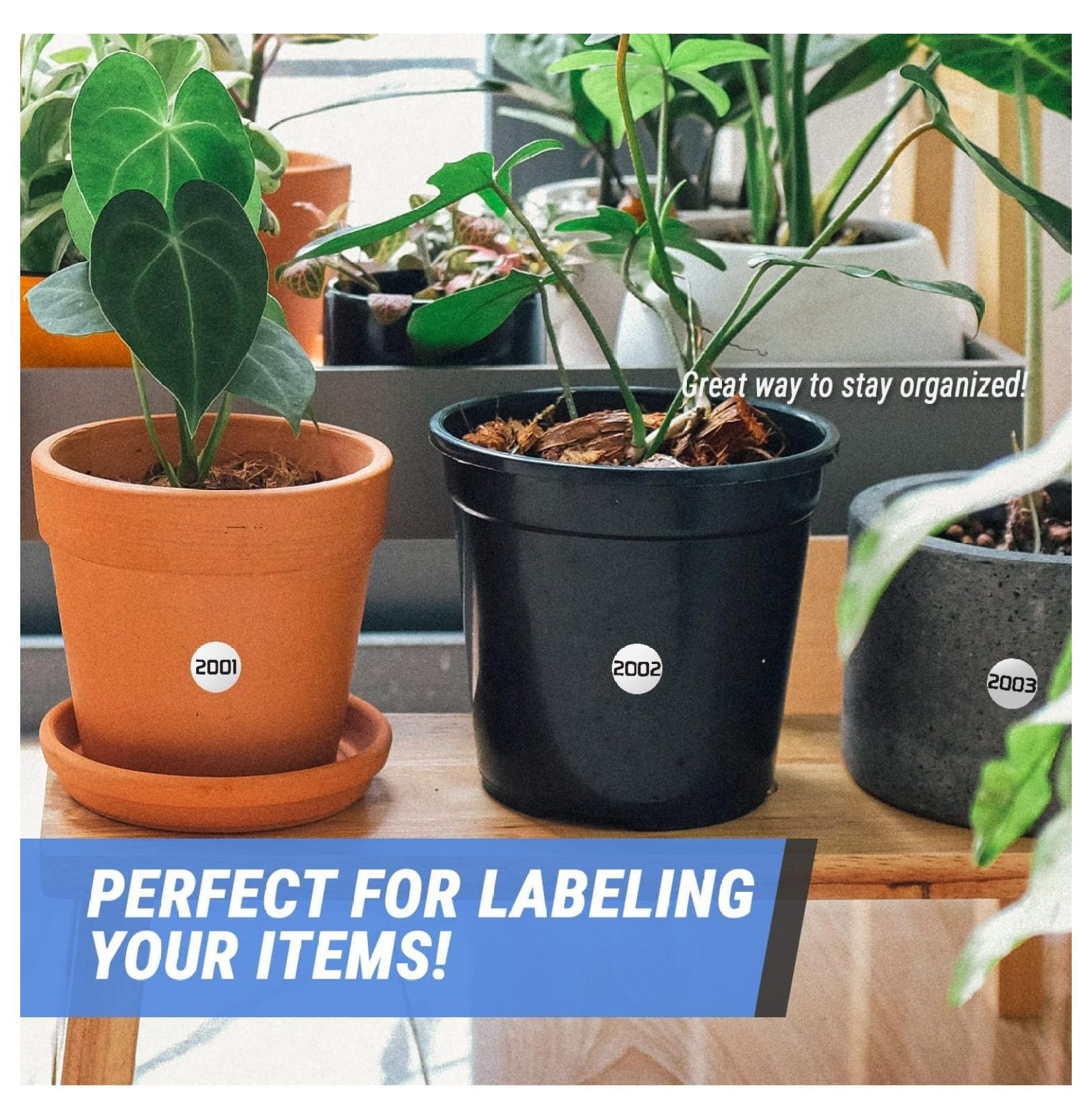 Consecutive Number Labels 2001-3000 - 1 Inch Round Stickers - 1000 Count Roll - Waterproof Vinyl Inventory Labels - Sequential Numbering for Asset Tracking