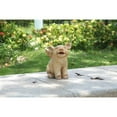thumbnail image 3 of HI-LINE GIFT LTD. LAUGHING PIG WITH WINGS SITTING, 3 of 8