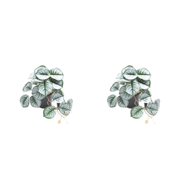 Naiovety Plantas artificiales ecológicas para hábitats de reptiles: no tóxicas, fáciles de limpiar, respetuosas con la piel Type2 NO2