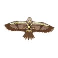 thumbnail image 2 of Eagle Kite fácil de volar portátil con cuerda para niños y adultos, grande, diversión, para parque, viaje, actividades al aire libre playa Marrón, 2 of 9