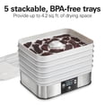 thumbnail image 2 of Hamilton Beach Digital Food Dehydrator Machine with 5 Stackable Trays, 500W, Grey, 2 of 8