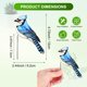 thumbnail image 3 of Uxcell 1-Pack Abrazaderas para Macetas de Aves, Estacas de Jardín de Colibrí de Acrílico de 3.2" para Decoración de Colgadores de Jardineras [Estilo 12], 3 of 7