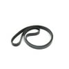 Dinan D862-4217 Replacement Supercharger Belt - Compatible with 1992-2000 BMW 325i/328i/M3/Z3