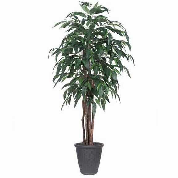 Vickerman 6' Artificial Mango Executive Tree, Gray Round Plastic Container, Silk