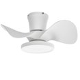 thumbnail image 1 of Ventilador de techo ocioc de 22" con luz LED silenciosa y control remoto, 1 of 8
