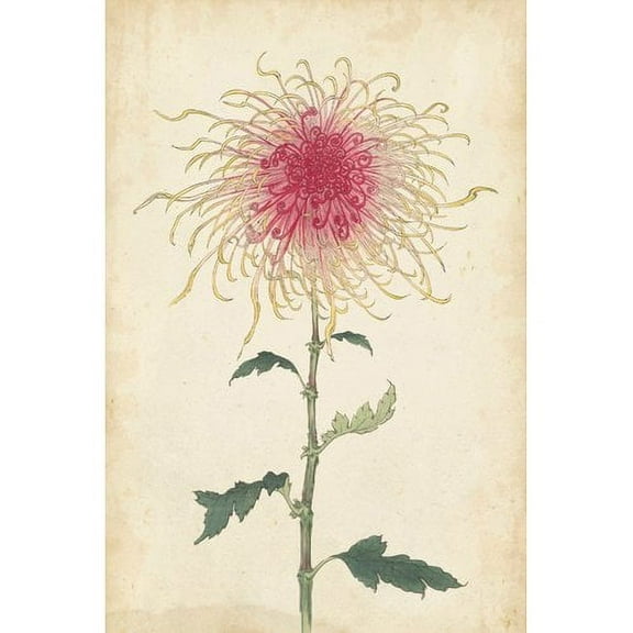 Marmont Hill "Chrysanthemum I" Painting Print on Wrapped Canvas