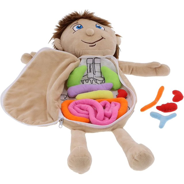 Muñeca de órgano del cuerpo humano, muñeca de aprendizaje de anatomía, juguete cognitivo educativo fisiológico, material didáctico preescolar para bebés, niños y niñas (órganos del cuerpo)