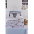 thumbnail image 1 of Cover’s & Co. Duvet Cover and Pillow Sham Sets, 1 of 1