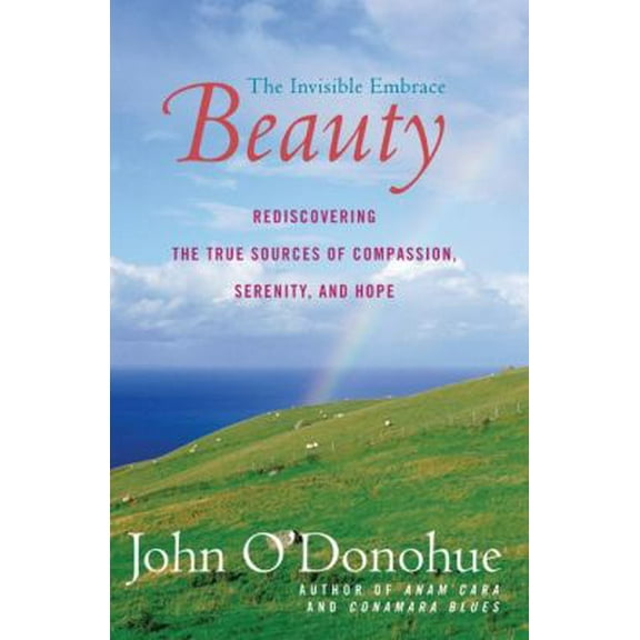 Pre-Owned Beauty: The Invisible Embrace (Paperback) 0060957263 9780060957261