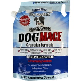 Nature s Mace 1 Gallon Stray Dog Repellent Animal Deterrent Concentrate Solution Walmart