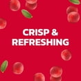 thumbnail image 5 of Ocean Spray Sparkling Diet Cranberry - 4pk/11.5 fl oz Cans, 5 of 5