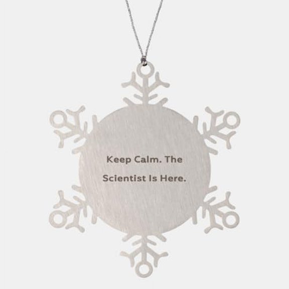 Sarcastic Scientist Gifts, Keep Calm. The, Inappropriate Snowflake Ornament for Coworkers, Christmas Ornament from Boss, Funny Science Gifts, Funny Scientist Gifts, Gag Gifts for Scientists, Humorous