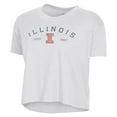 thumbnail image 2 of Women's Alternative Apparel  White Illinois Fighting Illini Retro Jersey Headliner Cropped T-Shirt, 2 of 3